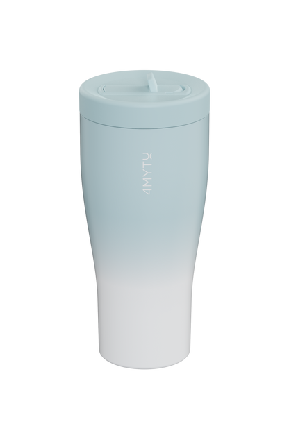 Insulated Straw Water Bottle